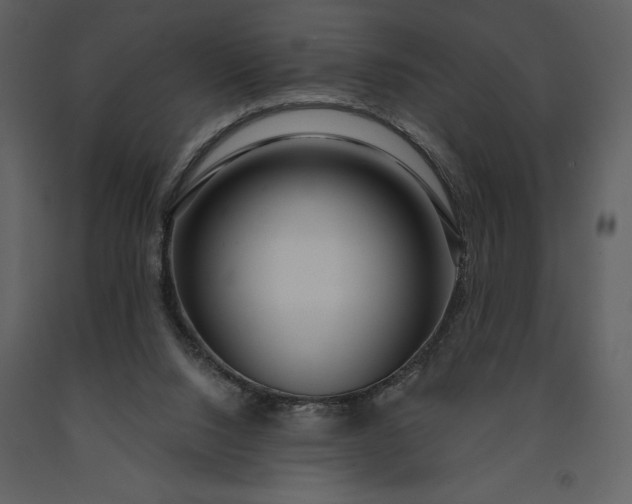 X0000091210064200708231617