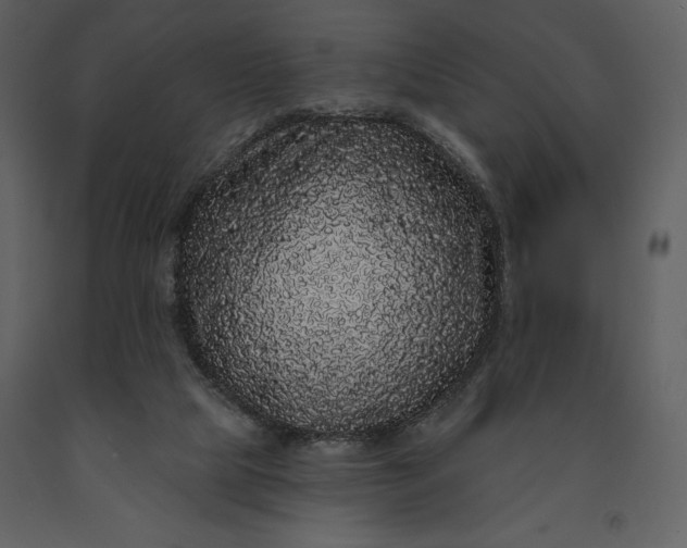 X0000091210065200708231617