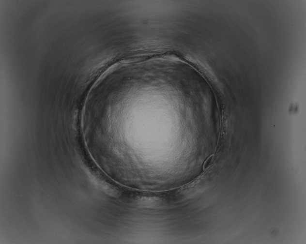 X0000091210066200708231617