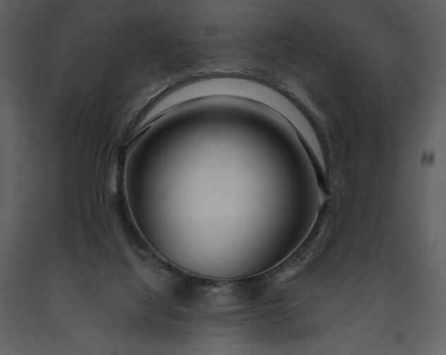 X0000091210068200708231617