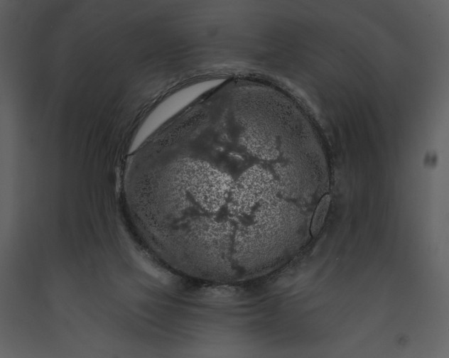 X0000091210069200708231617