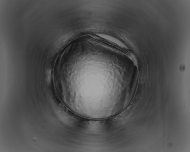 X0000091210070200708231617