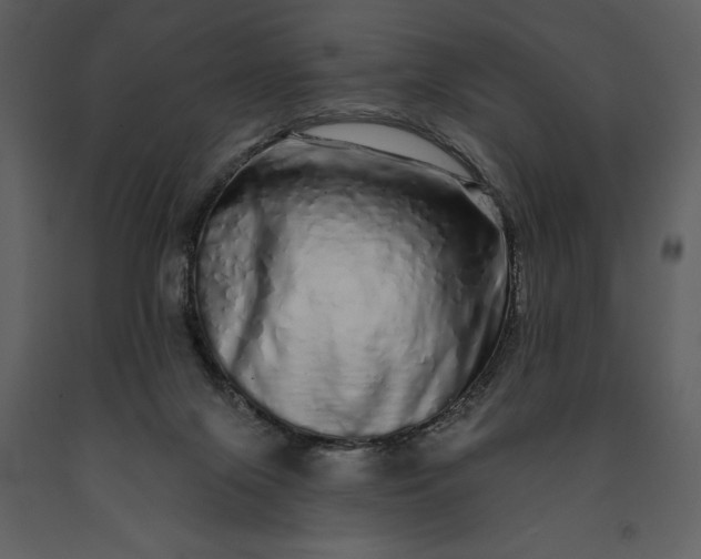 X0000091210071200708231617