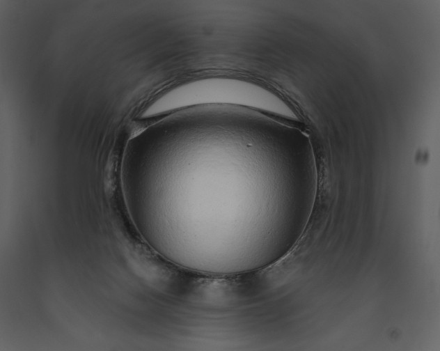 X0000091210074200708231617