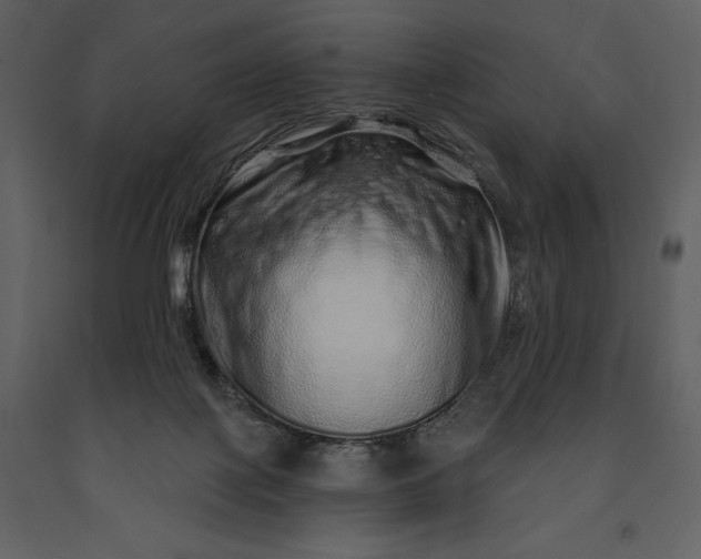 X0000091210075200708231617