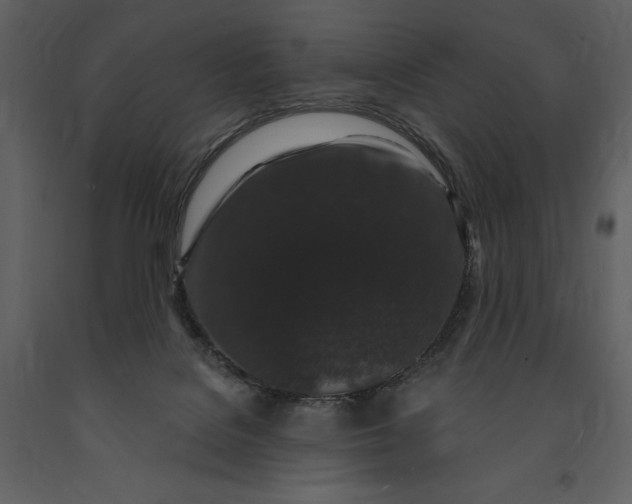 X0000091210076200708231617