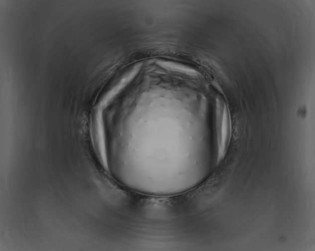 X0000091210077200708231617