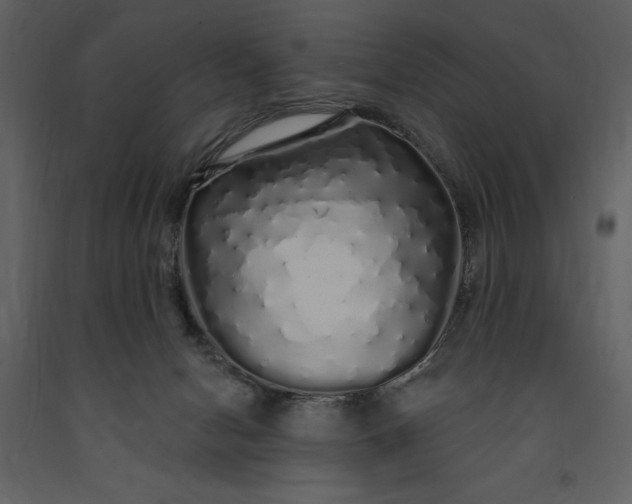 X0000091210078200708231617