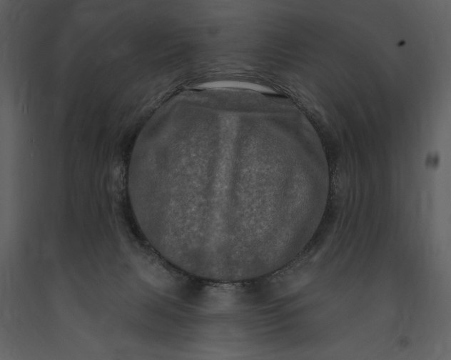 X0000091210079200708231617