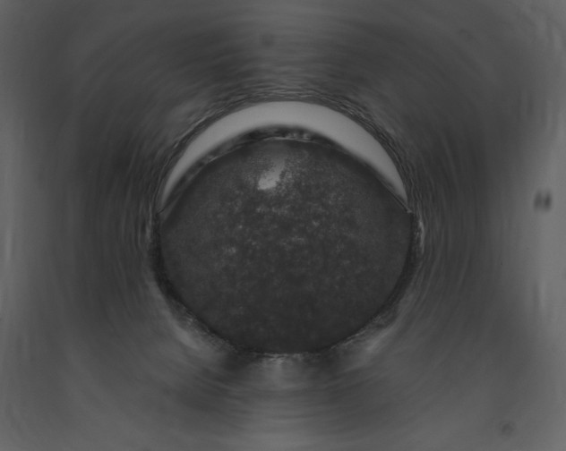 X0000091210080200708231617