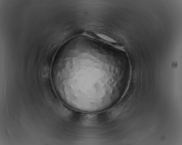 X0000091210081200708231617