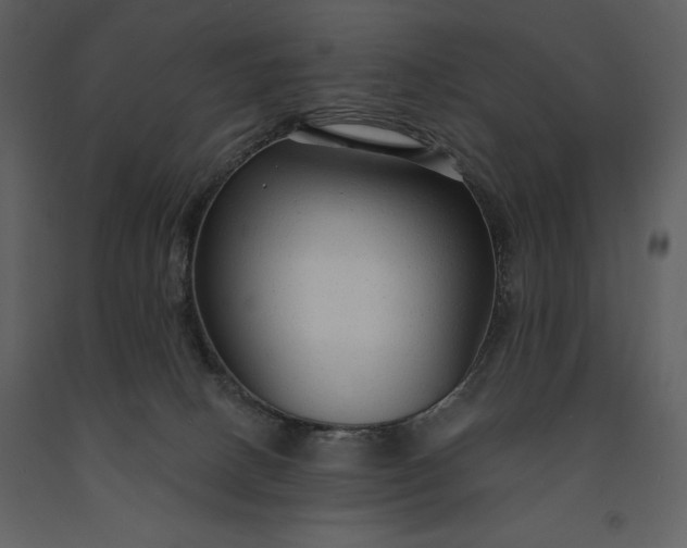 X0000091210082200708231617