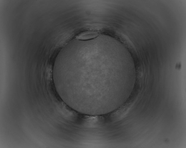 X0000091210083200708231617