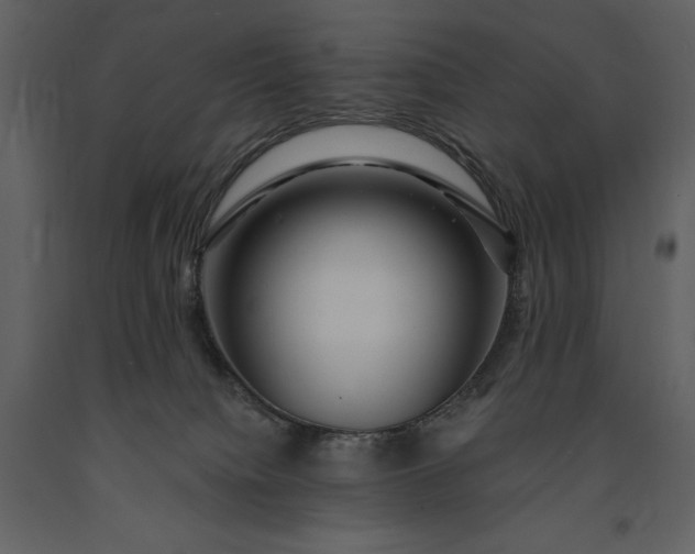 X0000091210084200708231617