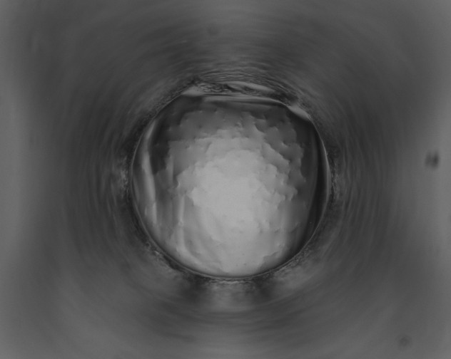 X0000091210085200708231617