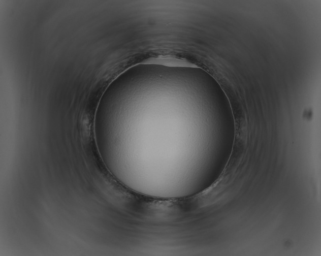 X0000091210086200708231617