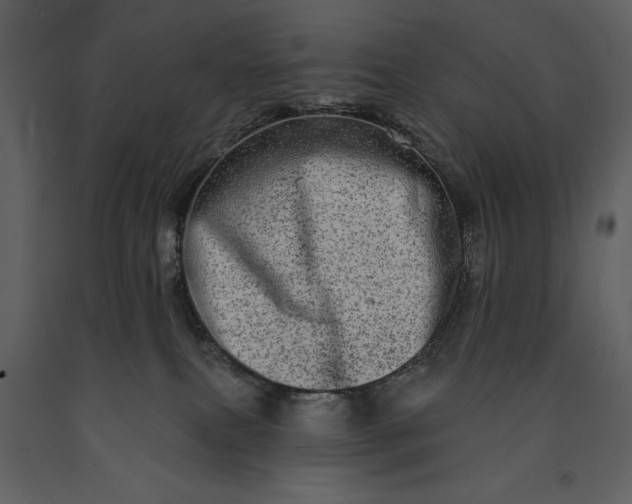 X0000091210087200708231617