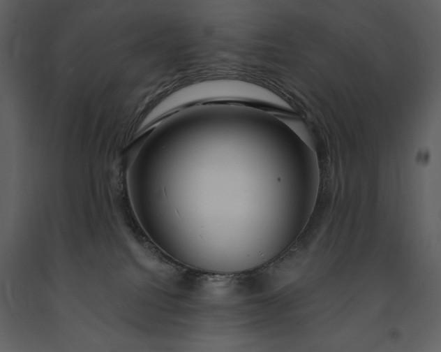 X0000091210088200708231617