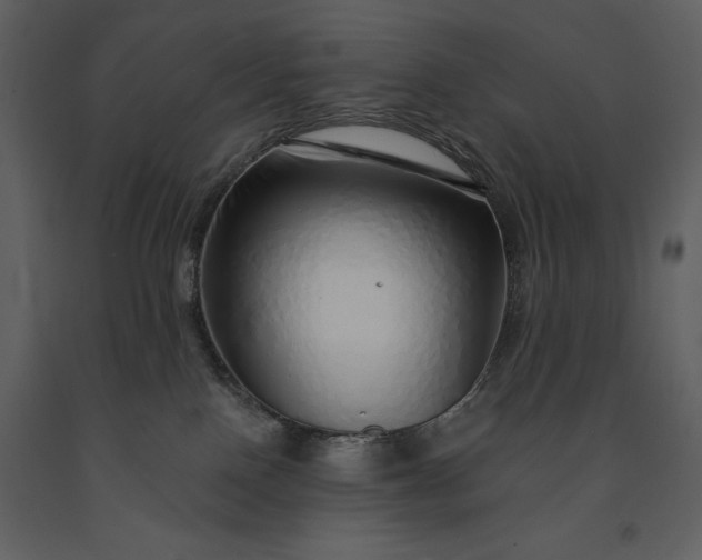 X0000091210090200708231617