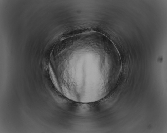 X0000091210091200708231618