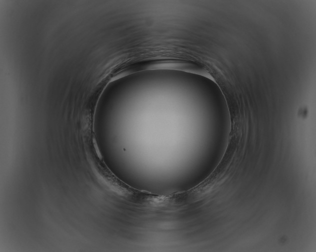 X0000091210092200708231618