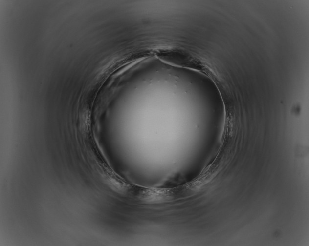 X0000091210093200708231618