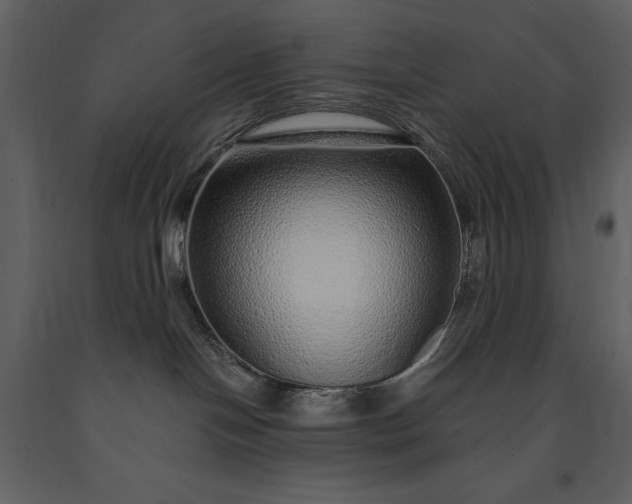 X0000091210094200708231618