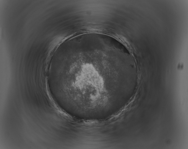 X0000091210097200708231617