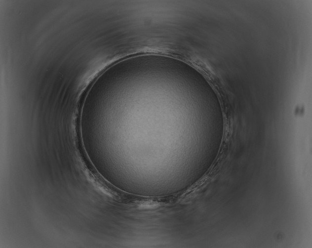 X0000091210098200708231617