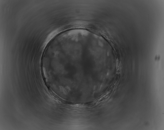 X0000091210099200708231617