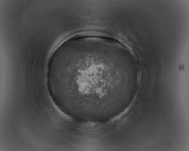 X0000091210101200708231617