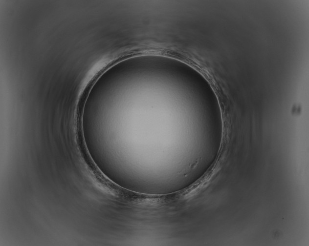 X0000091210102200708231617