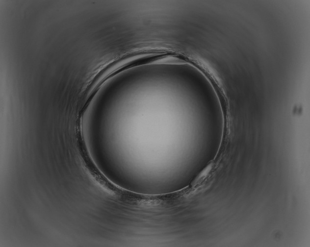 X0000091210105200708231617