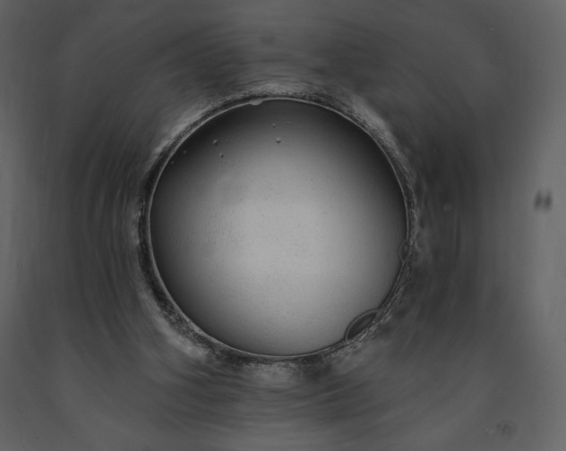 X0000091210106200708231617