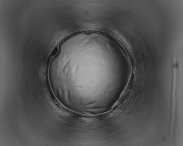 X0000091210107200708231617