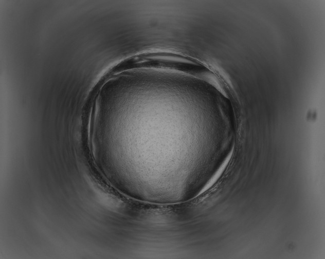 X0000091210108200708231617