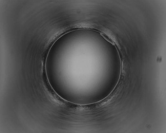 X0000091210109200708231617