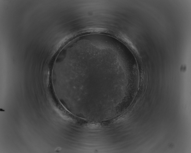 X0000091210110200708231617