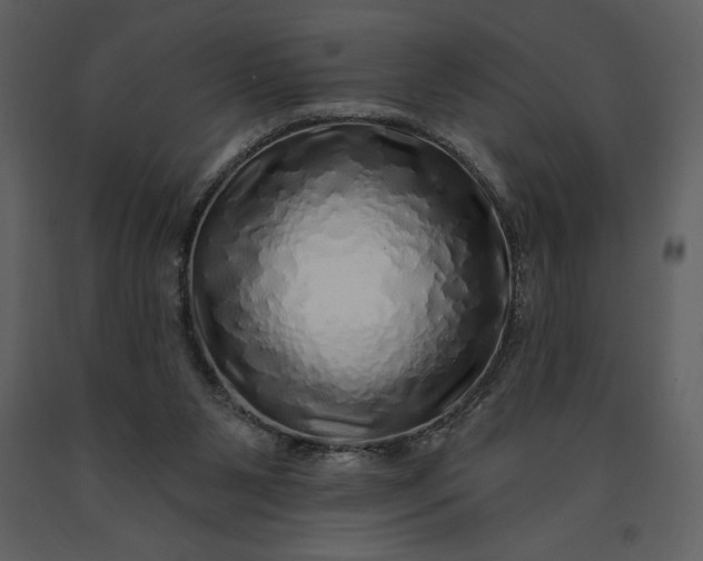 X0000091210111200708231617