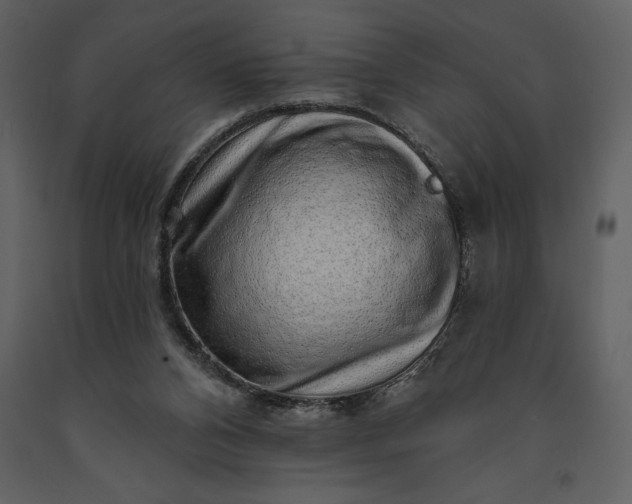 X0000091210112200708231617