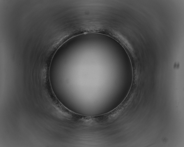 X0000091210113200708231617