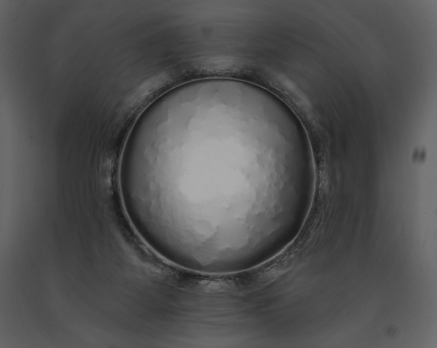 X0000091210115200708231617