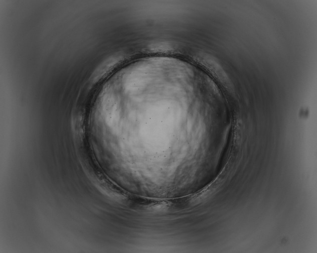 X0000091210116200708231617