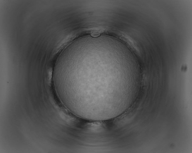 X0000091210118200708231617