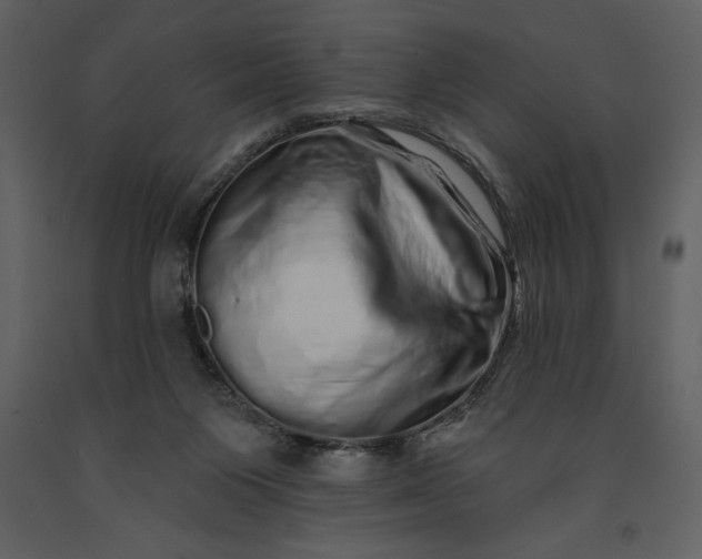 X0000091210119200708231617