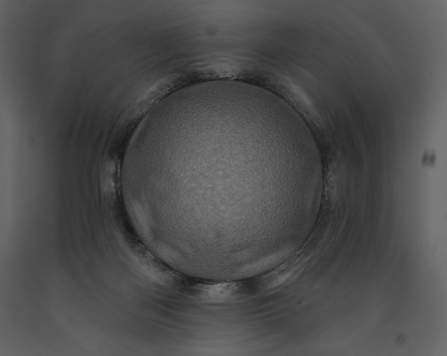 X0000091210122200708231617