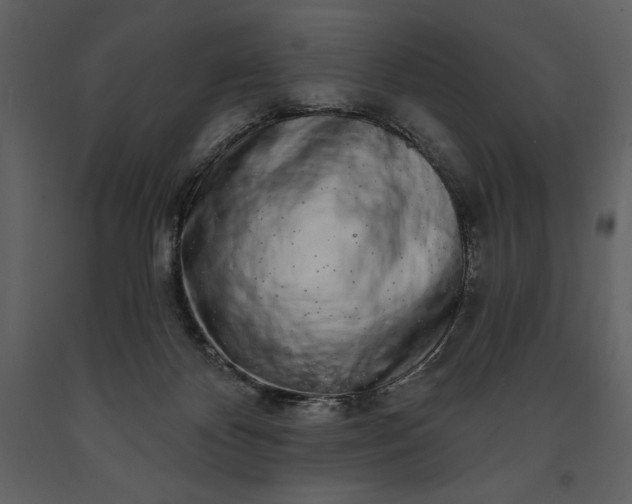 X0000091210124200708231617