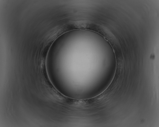 X0000091210125200708231617