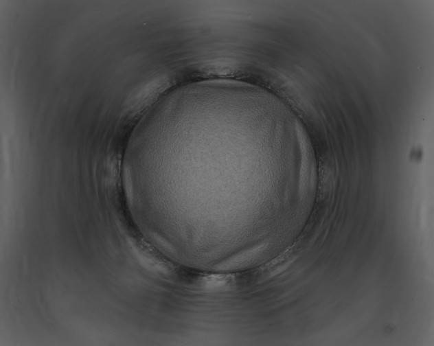 X0000091210126200708231617