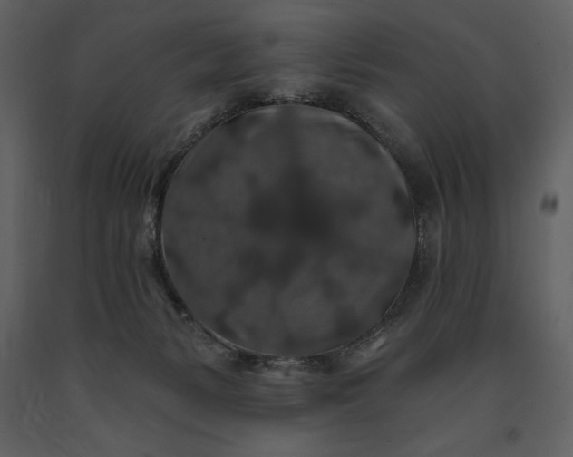 X0000091210127200708231616